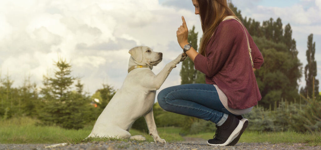 Corso Cuccioloni Societ Cinofila Lugano